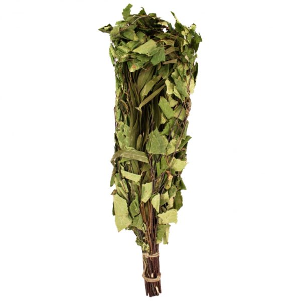 Birke - Eukalyptus Saunabesen